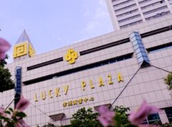 Lucky Plaza (D9), Shop House #455472791